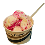 Small Tub Ice Cream (2 Scoops) 